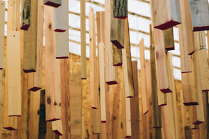 Pieces of wood, suspended for drying.